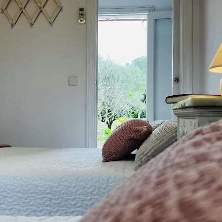 Es Puig Holiday home *