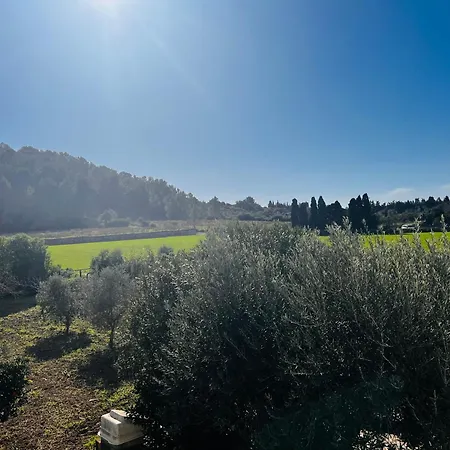 Es Puig Holiday home