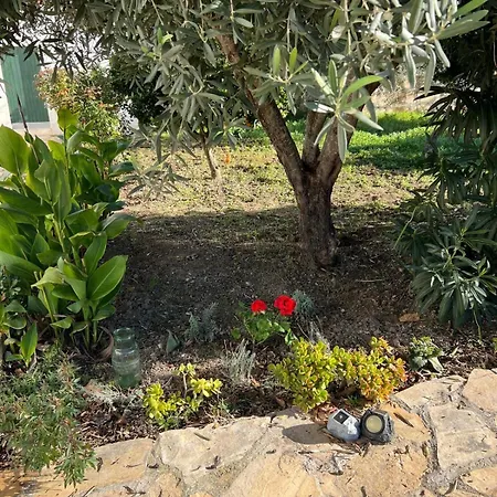 Es Puig Holiday home *