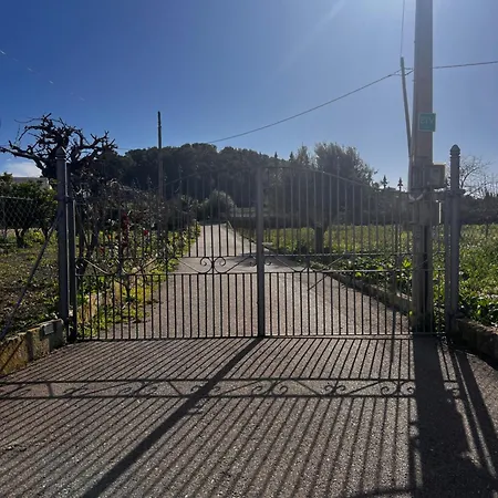 Holiday home Es Puig Santa Margalida