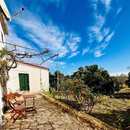 Es Puig Holiday home