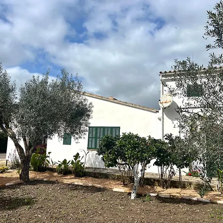 Holiday home Es Puig *