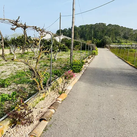 Es Puig Holiday home Santa Margalida